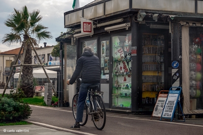 Viareggio9455