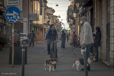 Viareggio9694