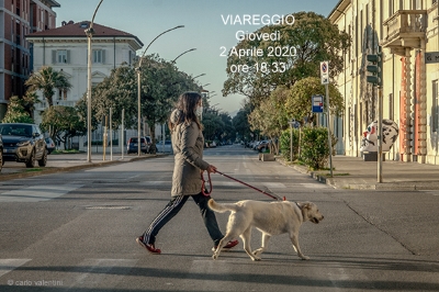 Viareggio9786dec